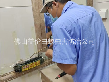 盐步诱杀箱施药灭杀白蚁工程
