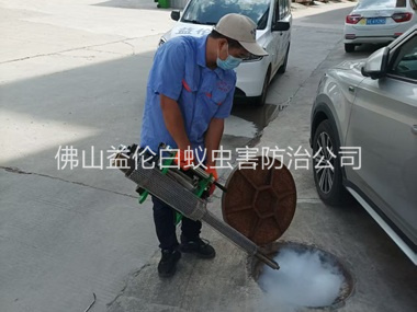 官窑下水道灭杀蚊虫、蟑螂工程